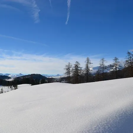 Pensionat Haus Verdi 3*