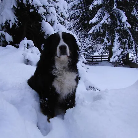 Haus Verdi Casa de hóspedes 3*