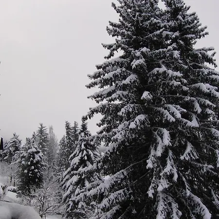 Casa de hóspedes Haus Verdi 3*