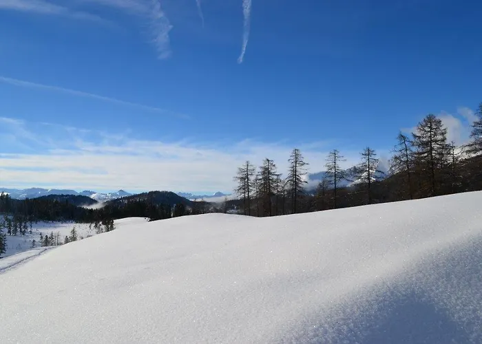 Konukevi Haus Verdi 3*