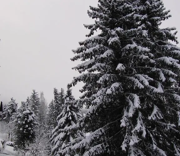 Konukevi Haus Verdi 3*